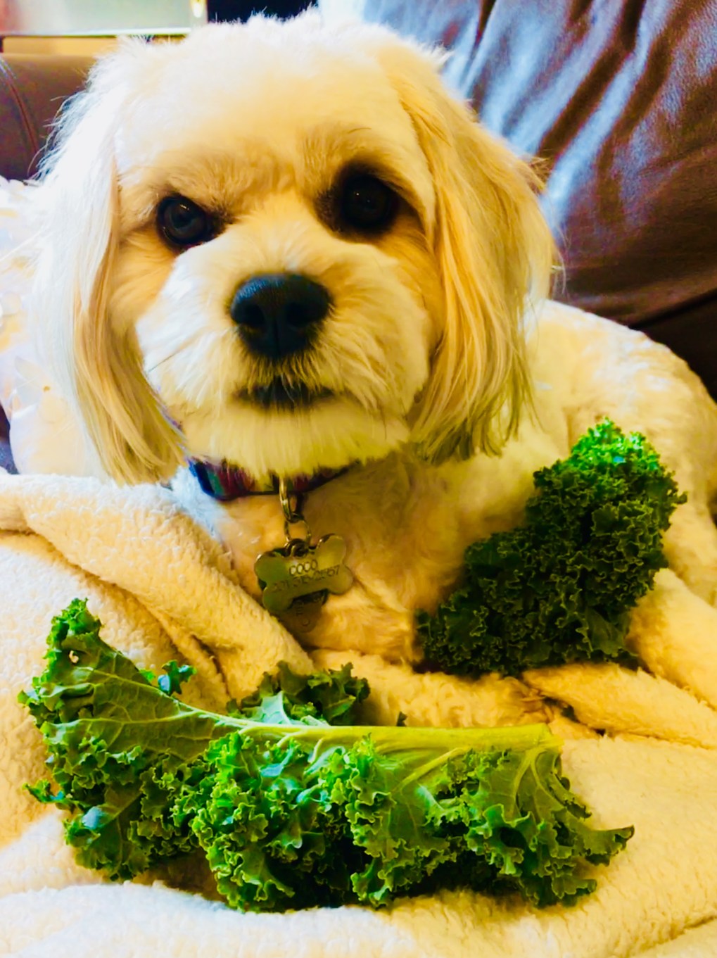 407AEDC8-3A28-4138-B398-51E7FE094085